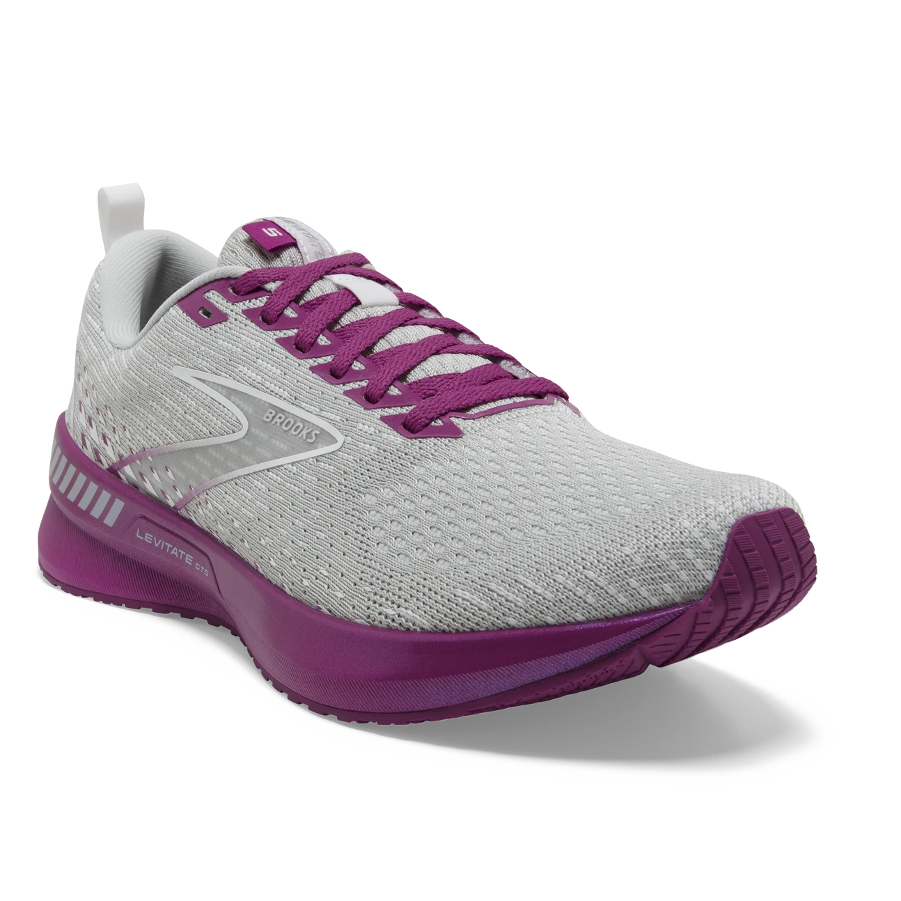 Women's Levitate 5 GTS (003 - Grey/Lavender/Baton Rouge)